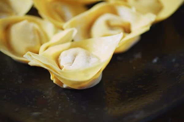 Make Wontons